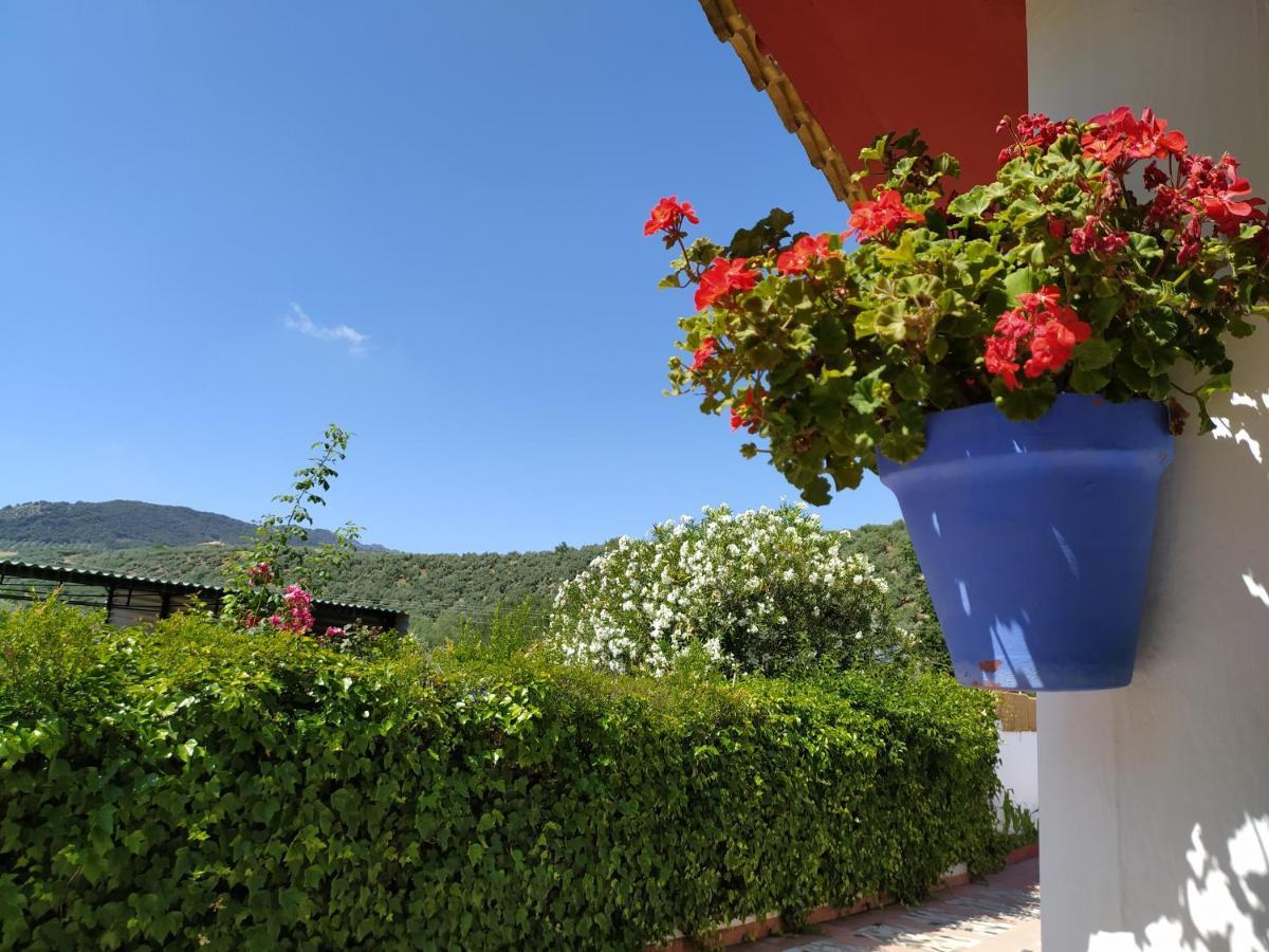 Villa Frasquita Priego De Cordoba Ngoại thất bức ảnh