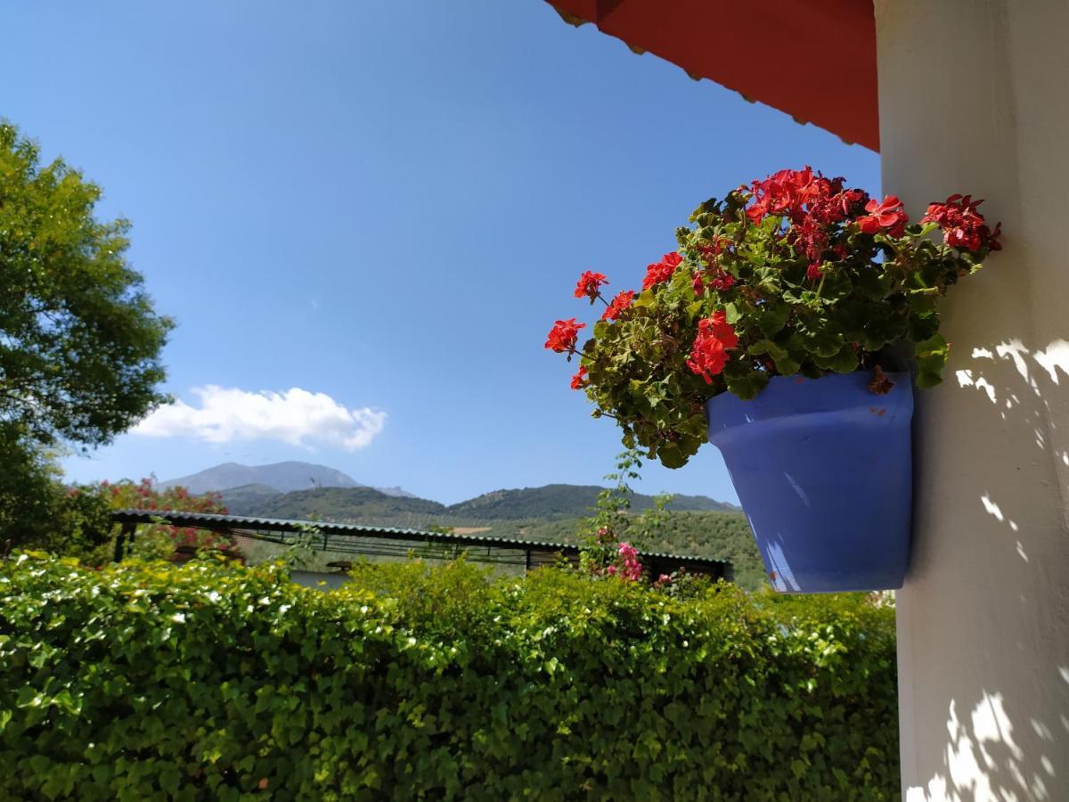 Villa Frasquita Priego De Cordoba Ngoại thất bức ảnh